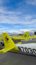 Light sport training aircraft for the Sport Pilot License course at Van Nuys Airport
